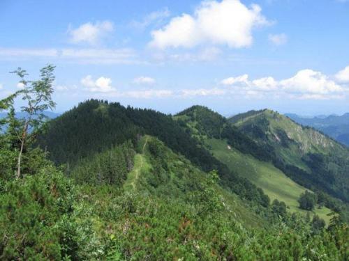 Landgasthof Kirchenwirt Grossraming Bagian luar foto