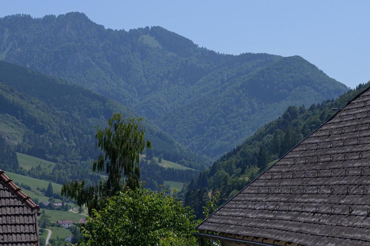 Landgasthof Kirchenwirt Grossraming Bagian luar foto